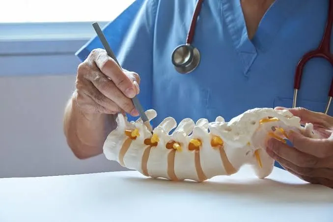 Clinician in scrubs pointing to a vertebra on an anatomical model of the spine
