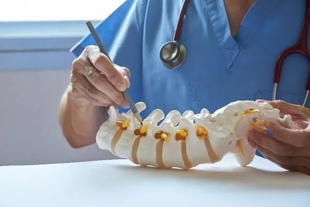 Clinician in scrubs pointing to a vertebra on an anatomical model of the spine